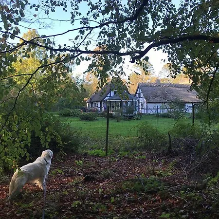 B&B The Foresters House- Idyllic Tranquility- Non Smokers Only *