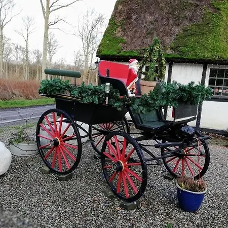 The Foresters House- Idyllic Tranquility- Non Smokers Only Bed & Breakfast *
