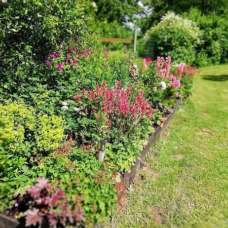 The Foresters House- Idyllic Tranquility- Non Smokers Only *