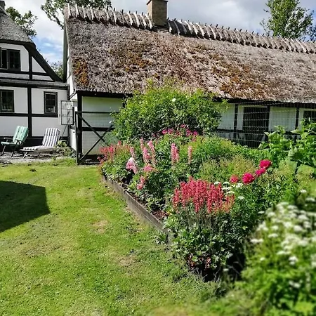 The Foresters House- Idyllic Tranquility- Non Smokers Only B&B *