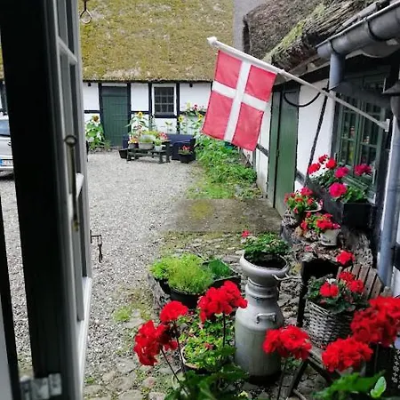 B&B The Foresters House- Idyllic Tranquility- Non Smokers Only